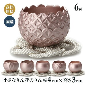   Ԃ̂ 4×3cm {  FႤ̈i  sN