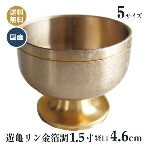   VT  ʐF { _ 1.5  (o4.6cmj