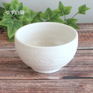 どんぶり 小さめ 12cm 480mlどんぶり 食器 陶器 おしゃれ 小さい 丼 かわいい ミニどんぶり ミニ丼ぶり 丼小ぶり ご飯茶碗 大きめ 美濃焼 業務用