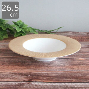  pX^M ڂ 24cm^26.5cm fB[vX[v{E  pX^M  ڂ UFO{E [M H C^A fB[vv[g X[vM Ɩp ~l[ S[hx[W