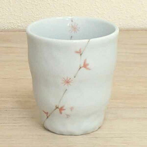 ۂ Z   260ml aԔZ  aH Ɩp ۂ  ̂ݒq