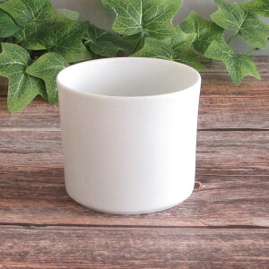 XeBbNVK[ VK[|bg   zCg  ivL X^h y[p[ivL ꕨ Vv  JtF H Ɩp Z