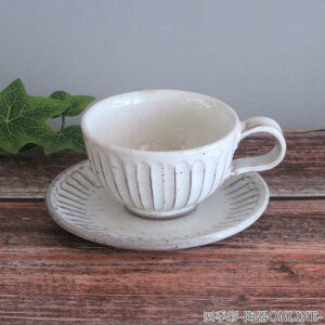 R[q[Jbv\[T[   220ml 킬ڃR[q[Jbv  a a_ R[q[Jbv \[T[ Zbg  R[q[Jbv Z  Ɩp