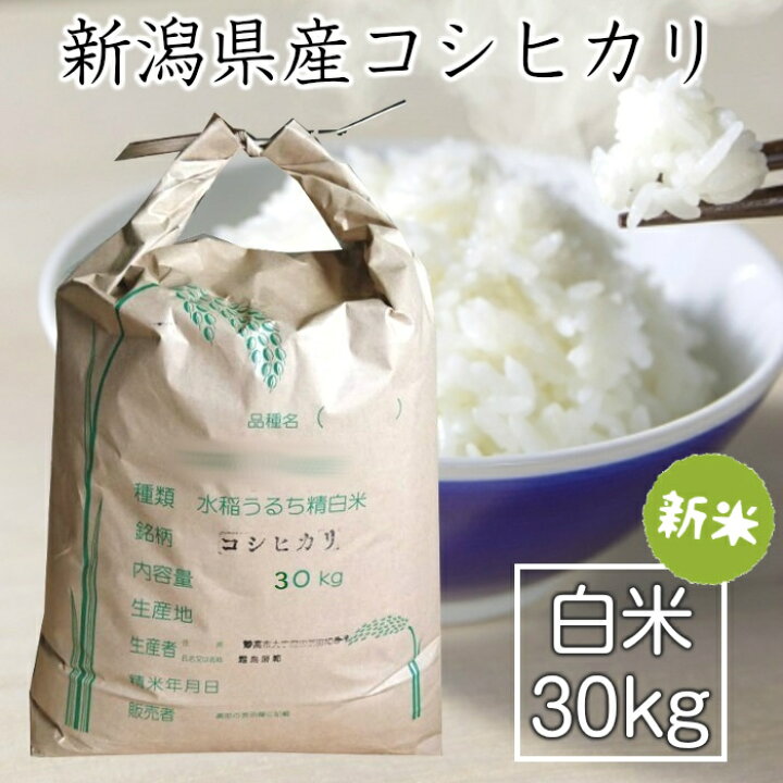 楽天市場】【期間限定販売】新米 令和7年度 新潟県矢代産コシヒカリ 