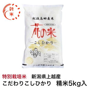 Vā@ߘa7NYVzY@ʍ͔|Ă肱Ђ@5kg]iRVqJ@Vʍ͔|_YFؕā@Ԃ̕āyPizzyszyz