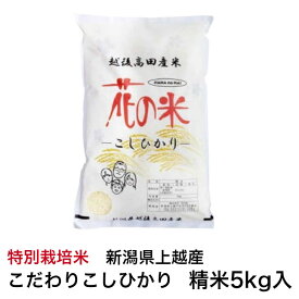 令和7年産新潟県上越産　特別栽培米こだわりこしひかり　精米5kg従来品種コシヒカリ　新潟県特別栽培農産物認証米　花の米【単品配送】【同梱不可】【送料無料】