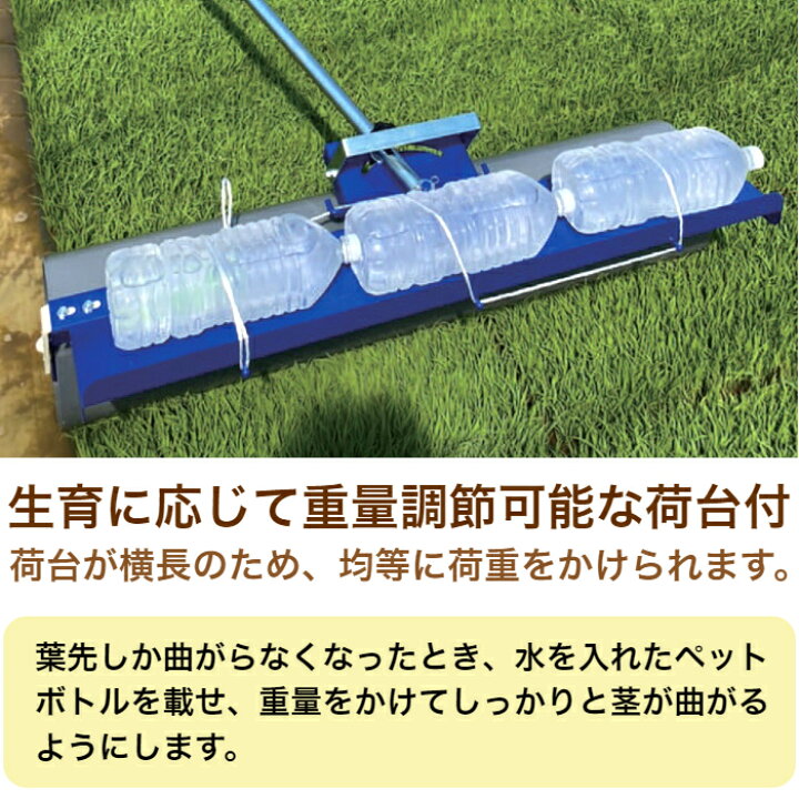 稲作 苗の強化を狙う 露払い・苗踏み
