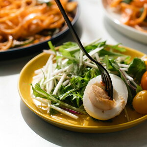 波佐見焼 ラッピング ギフトボックス プレートミニ 2枚セット 5寸 15cm hasami HASAMI ハサミ 食器 器 磁器 陶器 丸皿 頑丈 丈夫 国産 日本製 マルヒロ おしゃれ 無地 カラフル かわいい シンプル 誕