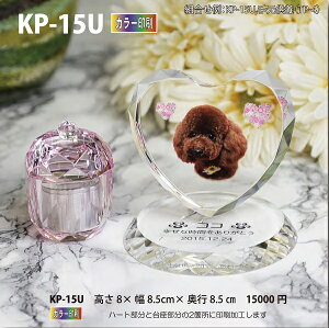 ybgʔvyNX^ʔv@KP-15U J[ z