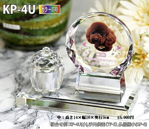 ybgʔvyNX^ʔv@KP-4U ()@ J[ z