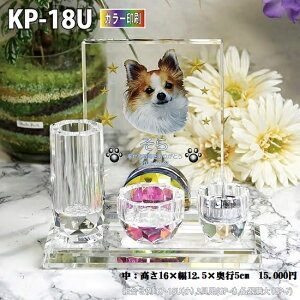 ybgʔvyNX^ʔv@KP-18U ()@ J[ z