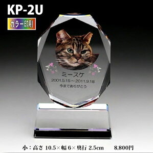 ybgʔvyNX^ʔv@KP-2U ()@ J[ z