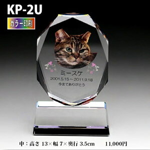ybgʔvyNX^ʔv@KP-2U () J[ z