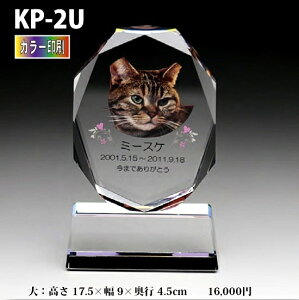 ybgʔvyNX^ʔv@KP-2U ()@ J[ z