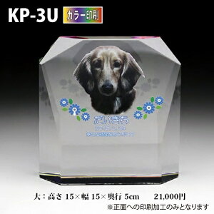 ybgʔvyNX^ʔv@KP-3U ()@ J[ z