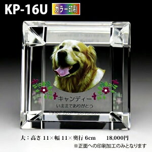 ybgʔvyNX^ʔv@KP-16U ()@ J[ z