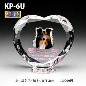 ybgʔvyNX^ʔv@KP-6U (j J[ z