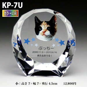 ybgʔvyNX^ʔv@KP-7U (j J[ z