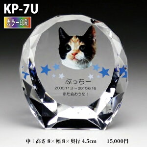 ybgʔvyNX^ʔv@KP-7U (j J[ z