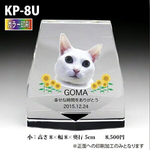 ybgʔvyNX^ʔv@KP-8U ()@ J[ z