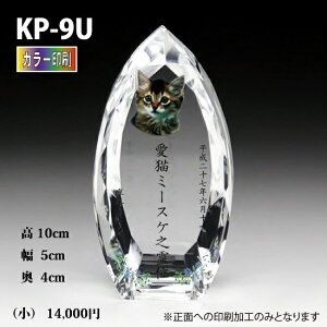 ybgʔvyNX^ʔv@KP-9U ()@ J[ z