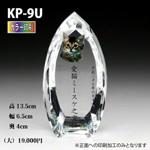 ybgʔvyNX^ʔv@KP-9U ()@ J[ z