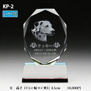 ybgʔvyNX^ʔv@KP-2 ()@[U[ z