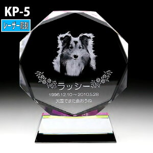 ybgʔvyNX^ʔv@KP-5 [U[ z
