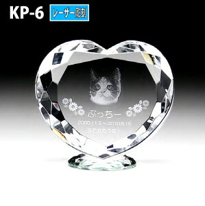 ybgʔvyNX^ʔv@KP-6 ()@[U[ z