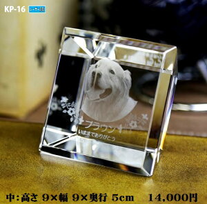 ybgʔvyNX^ʔv@KP-16 ()@[U[ z