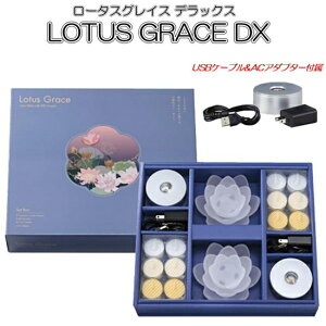 LOTUS GRACE DX�i�f���b�N�X�j2�Z�b�g���[�^�X�O���C�X