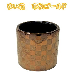 䂢 v~A ZĒiہjsubNEsS[h̑S2F