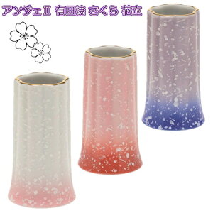 ANGERS(AWF)2  Lc ԗ 3FIׂ܂