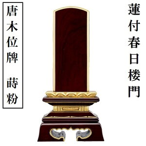 ؈ʔv@d@@ttO@6.0 h h