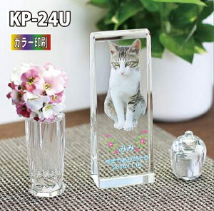 ybgʔvyNX^ʔv@KP-24U (j J[ z