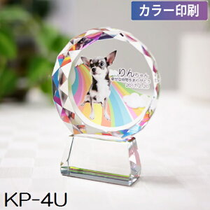 NX^ʔv KP-4U yJ[zybgA6ev[gIԁI