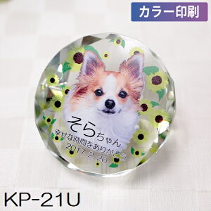 NX^ʔv KP-21U yJ[zybgA6ev[gIԁI