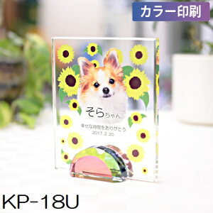 NX^ʔv KP-18U yJ[zybgA6ev[gIԁI