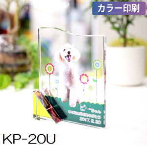 NX^ʔv KP-20U yJ[zybgA6ev[gIԁI