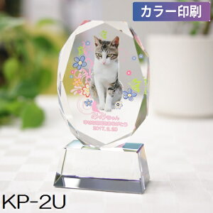 NX^ʔv KP-2U yJ[zybgA6ev[gIԁI
