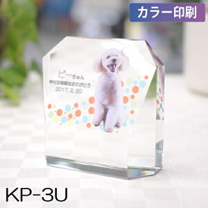 NX^ʔv KP-3U yJ[zybgA6ev[gIԁI