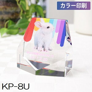 NX^ʔv KP-8U yJ[zybgA6ev[gIԁI