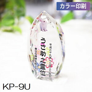 NX^ʔv KP-9U yJ[zybgA6ev[gIԁI