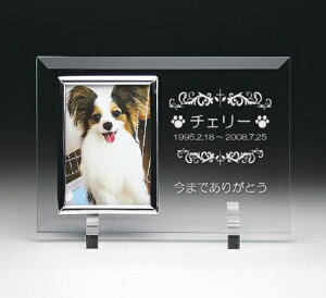 ybgʔvyAtHgt[@FP-5 Th ziVo[t[j