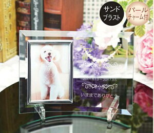 ybgʔvyAtHgt[@FP-6P Th zt[ȂKX