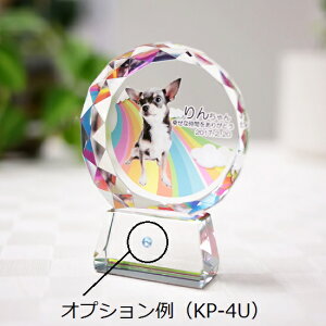NX^KXCXg[NX^ʔv12ނa΂I