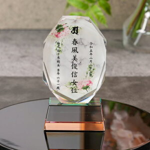 NX^ʔvKH-11UVS嗝()ThuXgHJ[o[W