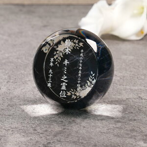 NX^ʔvKH-27UVS嗝()ThuXgHJ[o[W