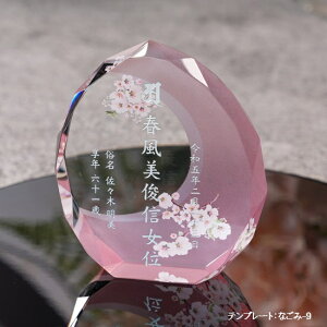 NX^ʔvKH-21UVSȂ()ThuXgHJ[o[W