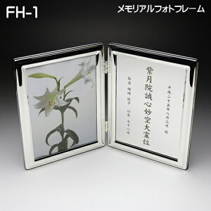 AtHgt[ FH-1 ܏ݎ